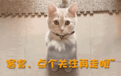 位看官支撑